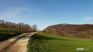 Landschaft bei Leningen