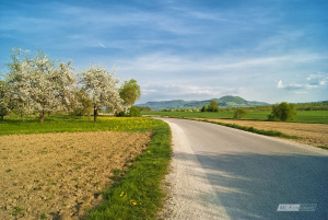 Frühling an der Teck