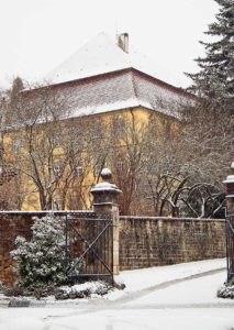 Palmschesschloß in Wernau im Winter