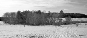 Winter im Schopflocherhochmoor